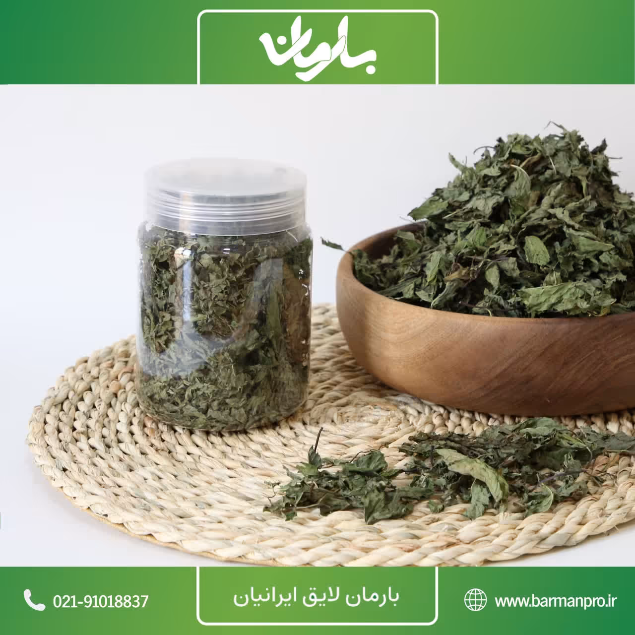 برگ نعنا خشک صادراتی بدون ناخالصی دستچین شده با عشق عمده و خرده فروشی