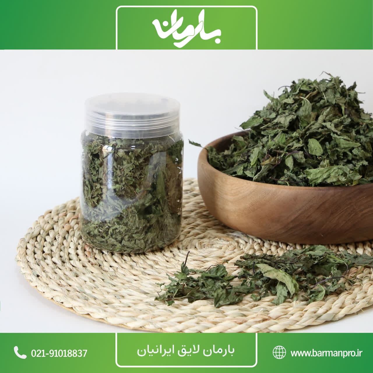 برگ نعنا خشک صادراتی بدون ناخالصی دستچین شده با عشق عمده و خرده فروشی