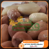 بادام زمینی ممتاز فدک (250گرم)