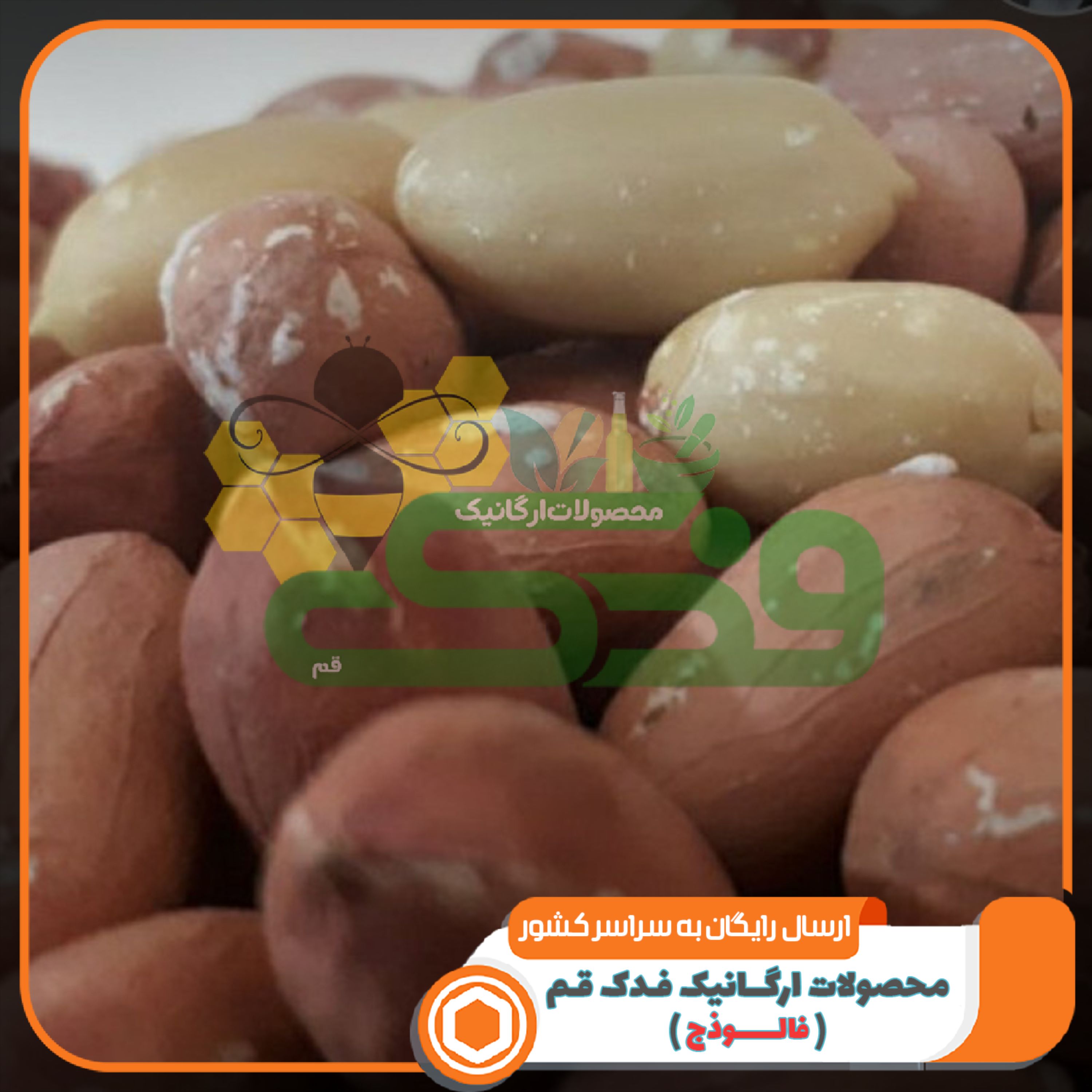 بادام زمینی ممتاز فدک (250گرم)