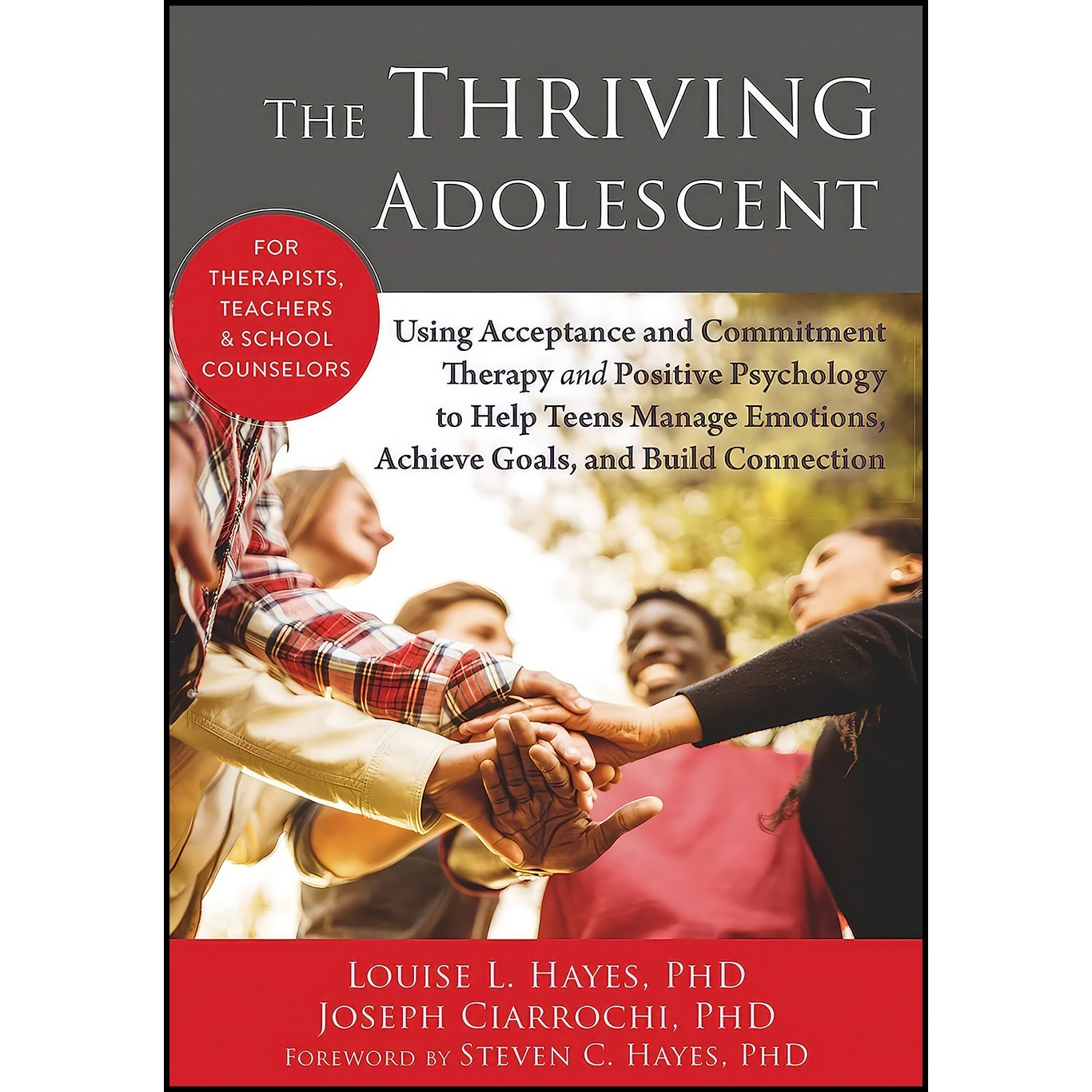 کتاب زبان اصلی The Thriving Adolescent اثر جمعی از نویسندگان