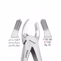 فورسپس بزرگسال مولر بالا چپ - کوشا