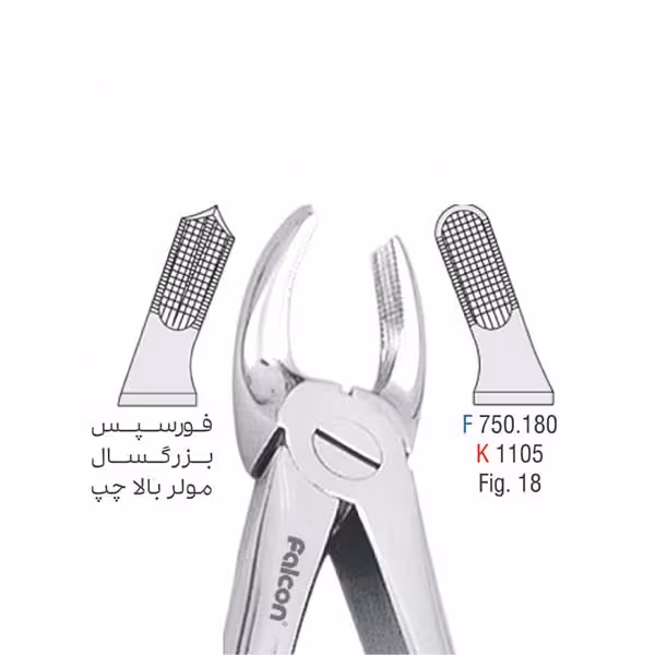 فورسپس بزرگسال مولر بالا چپ - کوشا