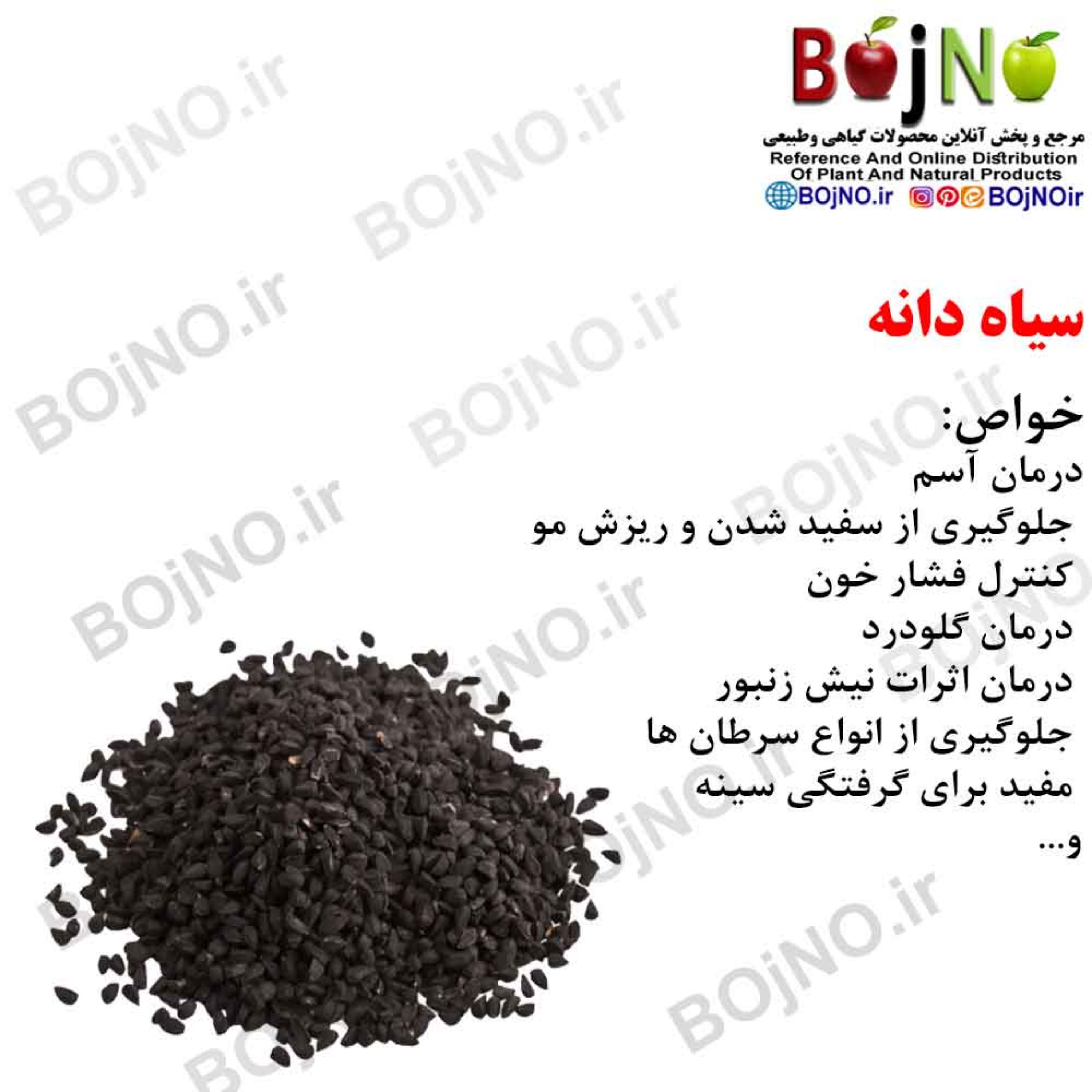 سیاه دانه (بسته 50گرمی)