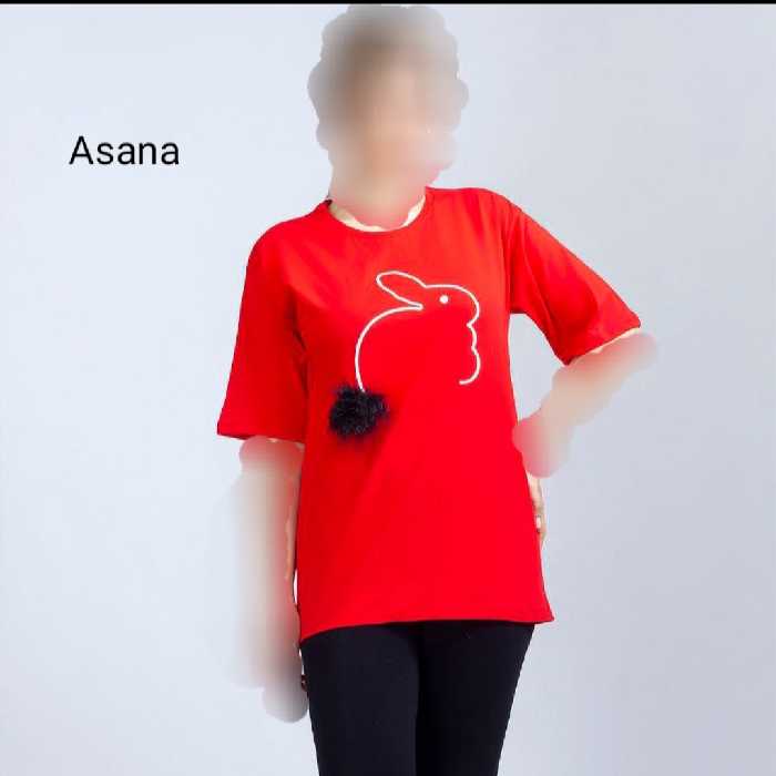 تیشرت خرگوش...بسیار با کیفیت و زیبا...جنس پنبه...فری سایز...رنگبندی....