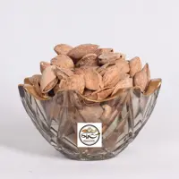 بادام پوست کاغذی خام 1000 گرمی خالص