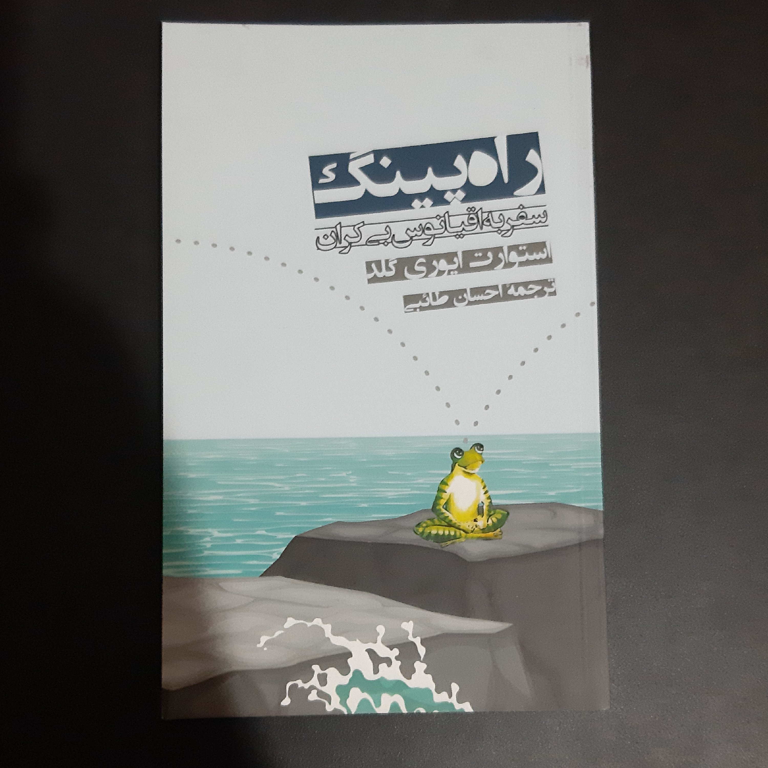 کتاب راه پینگ
