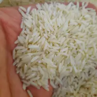 برنج طارم هاشمی امساله اعلاء(20 کیلوگرم) مستقیم از درب کارخانه شالیکوبی ارسال رایگان.
