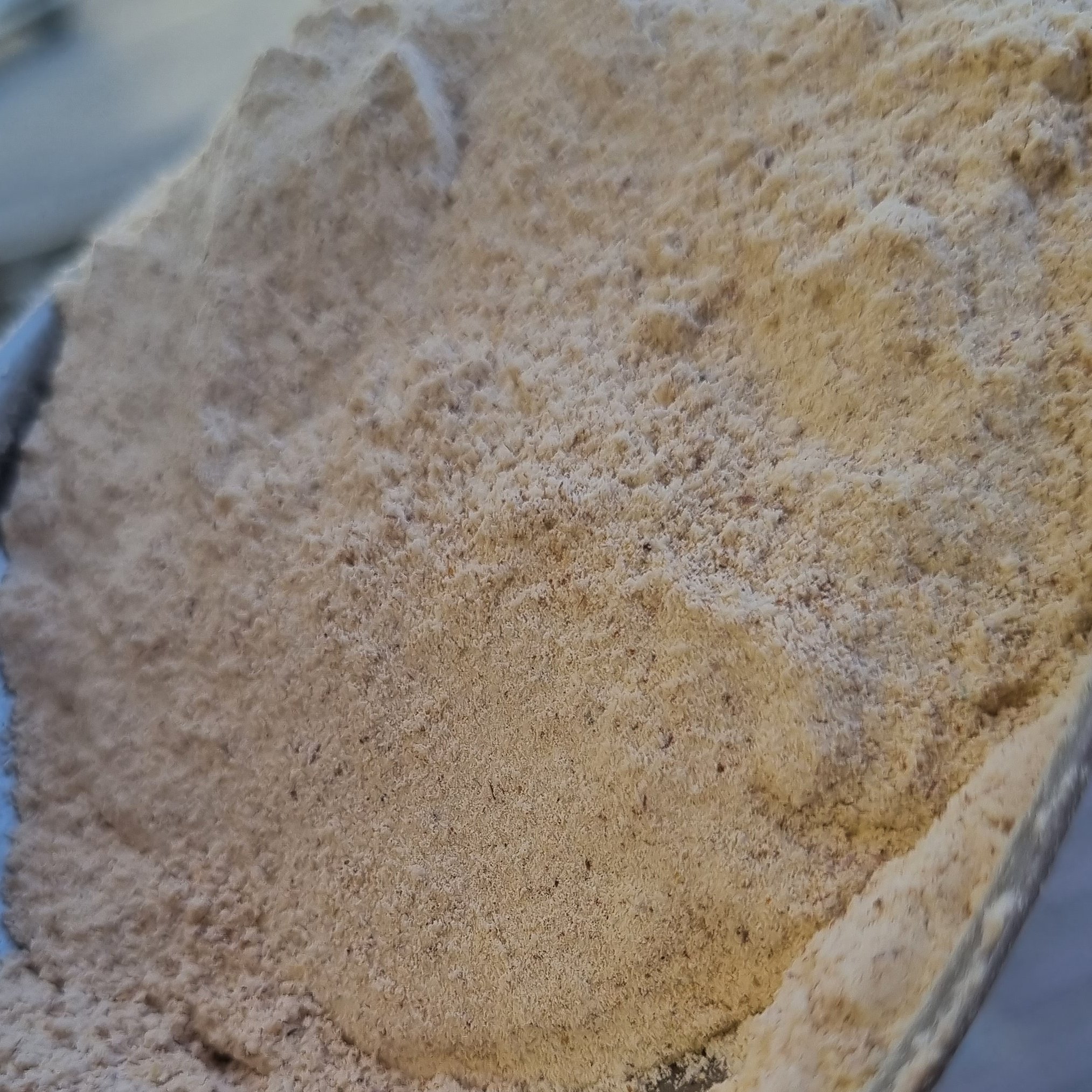 پودر سیر یک کیلویی