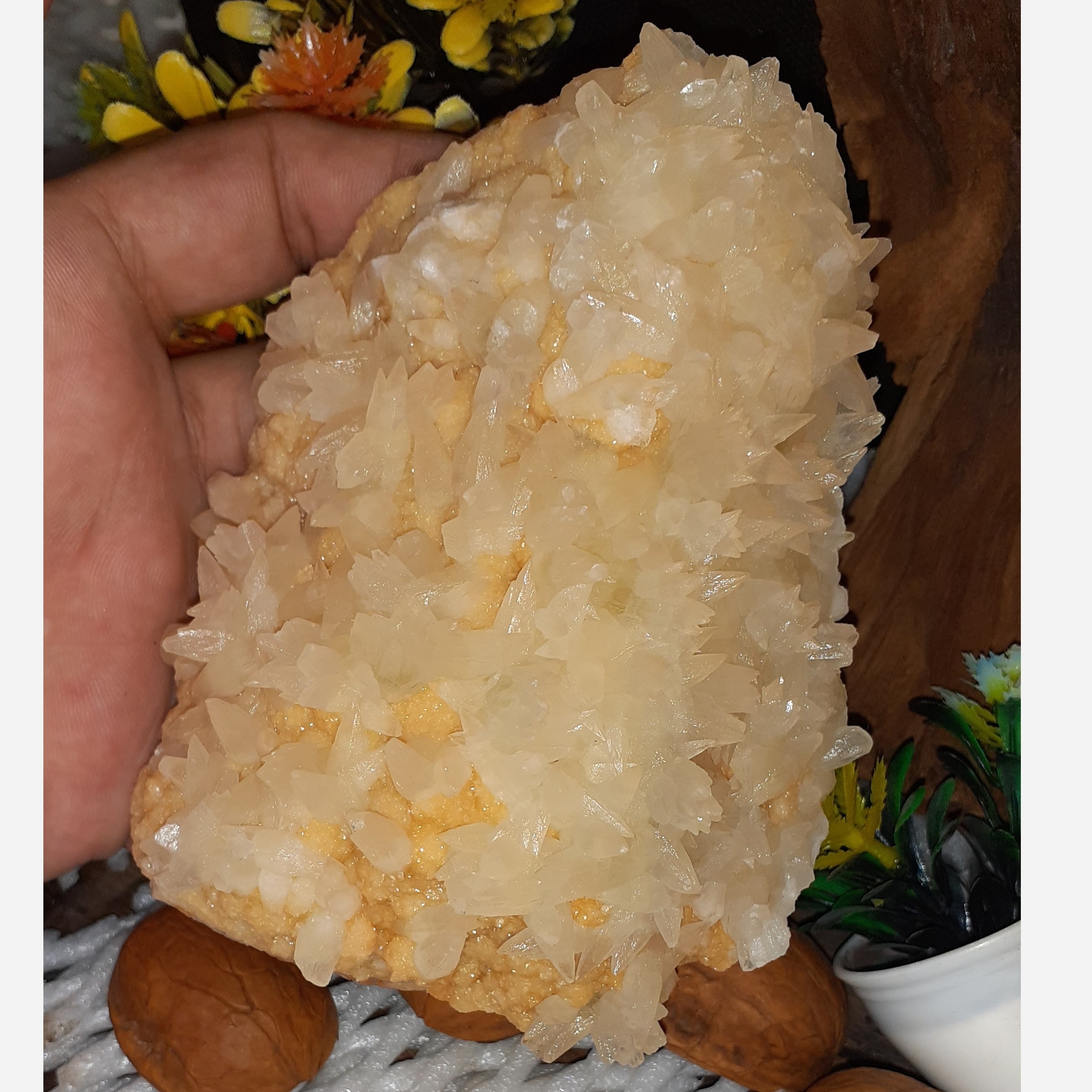 سنگ راف کلکسیونی دولومیت با رو رشدی بلورهای کلسیت