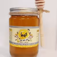 عسل طبیعی چهل گیاه کهربا (500 گرم )