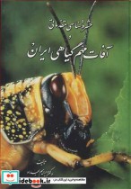کتاب حشره شناسی مقدماتی و آفات مهم گیاهی ایران نشر یادبود | ایده بوک
