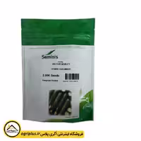 بذر خیار ویکتور سمینیس