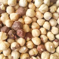 مغز فندق (10 کیلو) شور خارجی