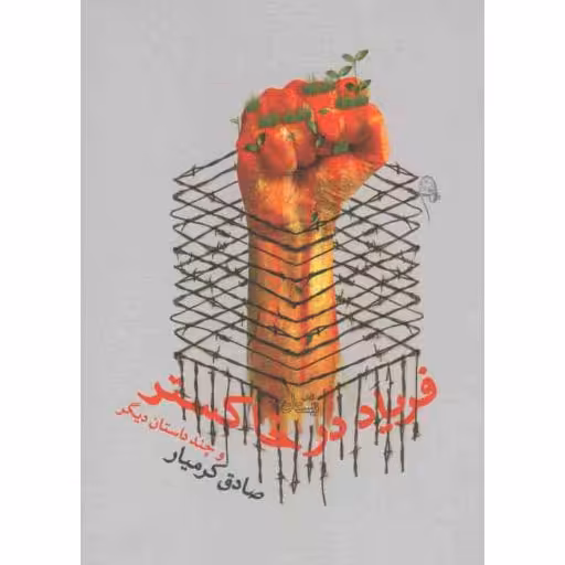 فریاد در خاکستر (و چند داستان دیگر)