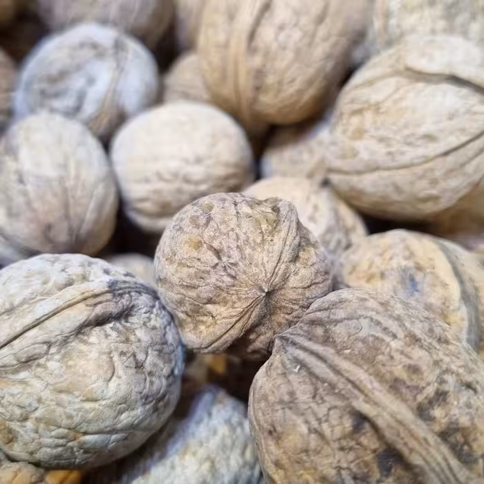 بهترین کیفیت گردو ایرانی 2 کیلو