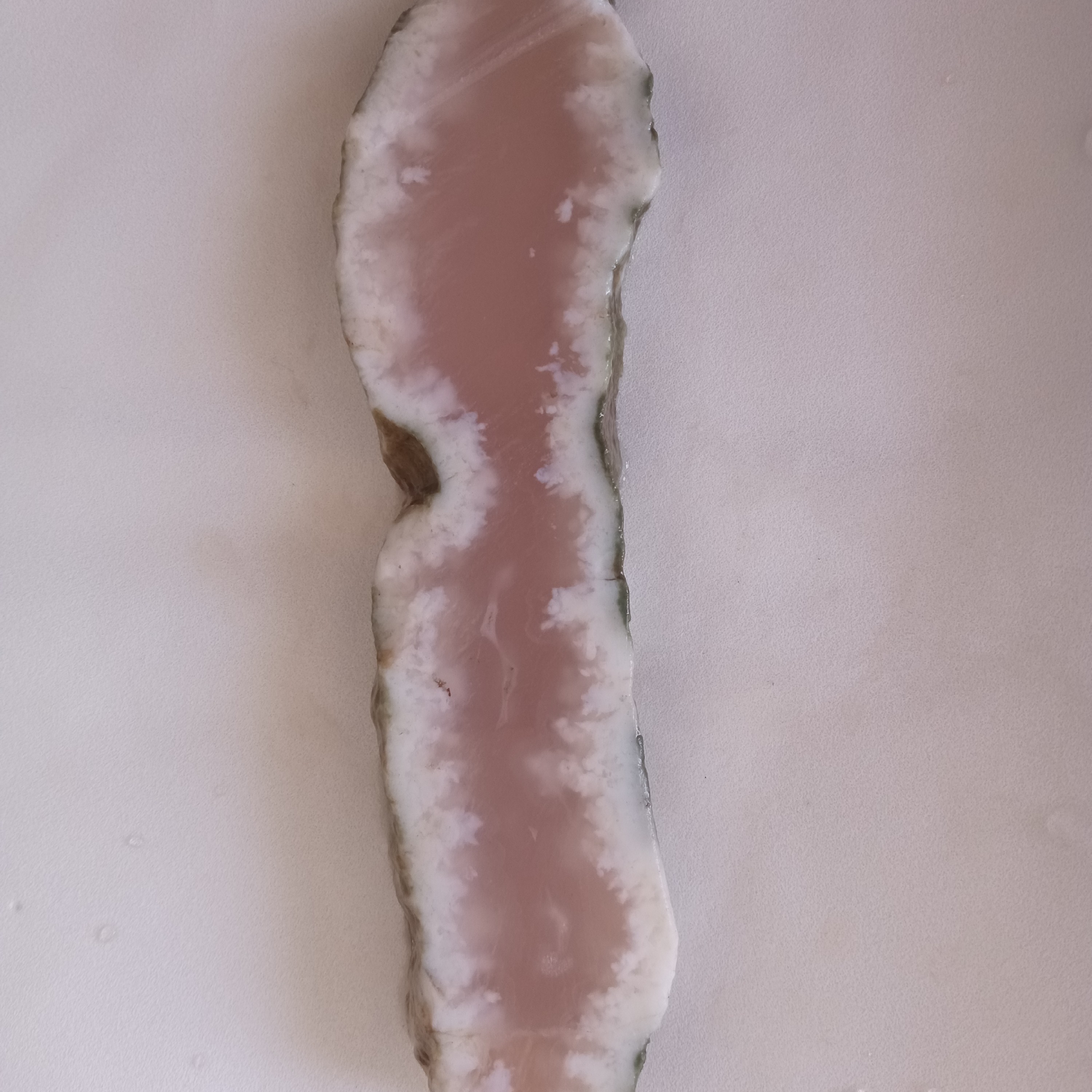 اسلایس شجر  در وزن 83 گرم با حاشیه سفید