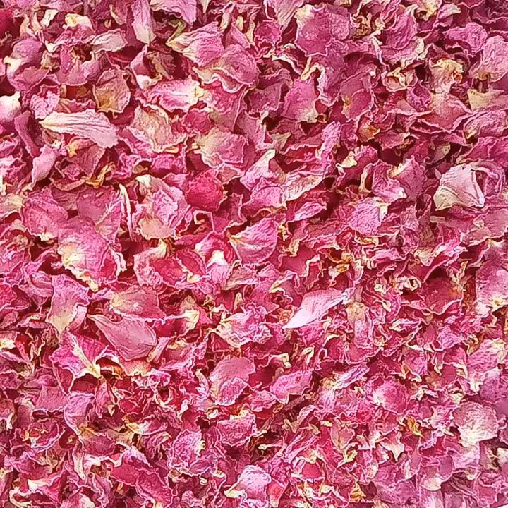 پر غنچه گل اعلی 