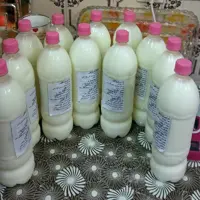 بطری1.5لیتری پروبیوتیک دوغ کفیر که در دوغ ها از نمک دریا وعرق نعنا استفاده شده