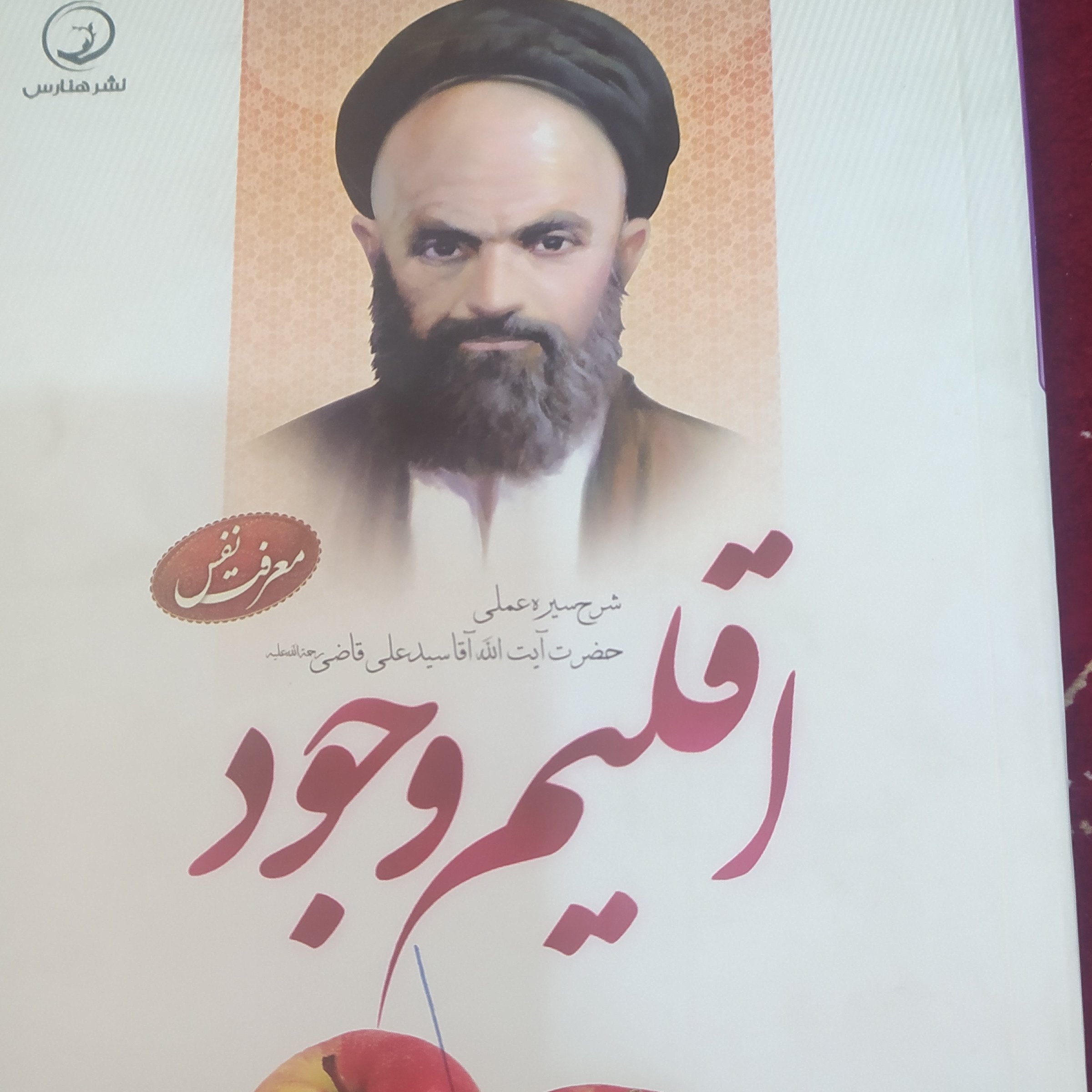 اقلیم وجود شرح زندگی آیه الله سید علی آقای قاضی