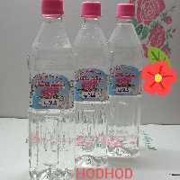 گلاب   طبیعی                         