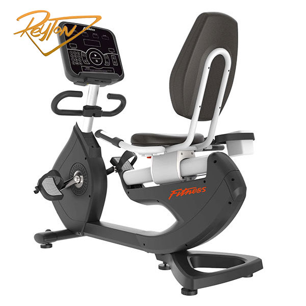 دوچرخه ثابت پشتی دار برایت وی EB8800