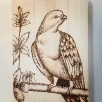تابلو چوبی رو میزی طرح پرنده ی زیبا سوخت نگاری شده
