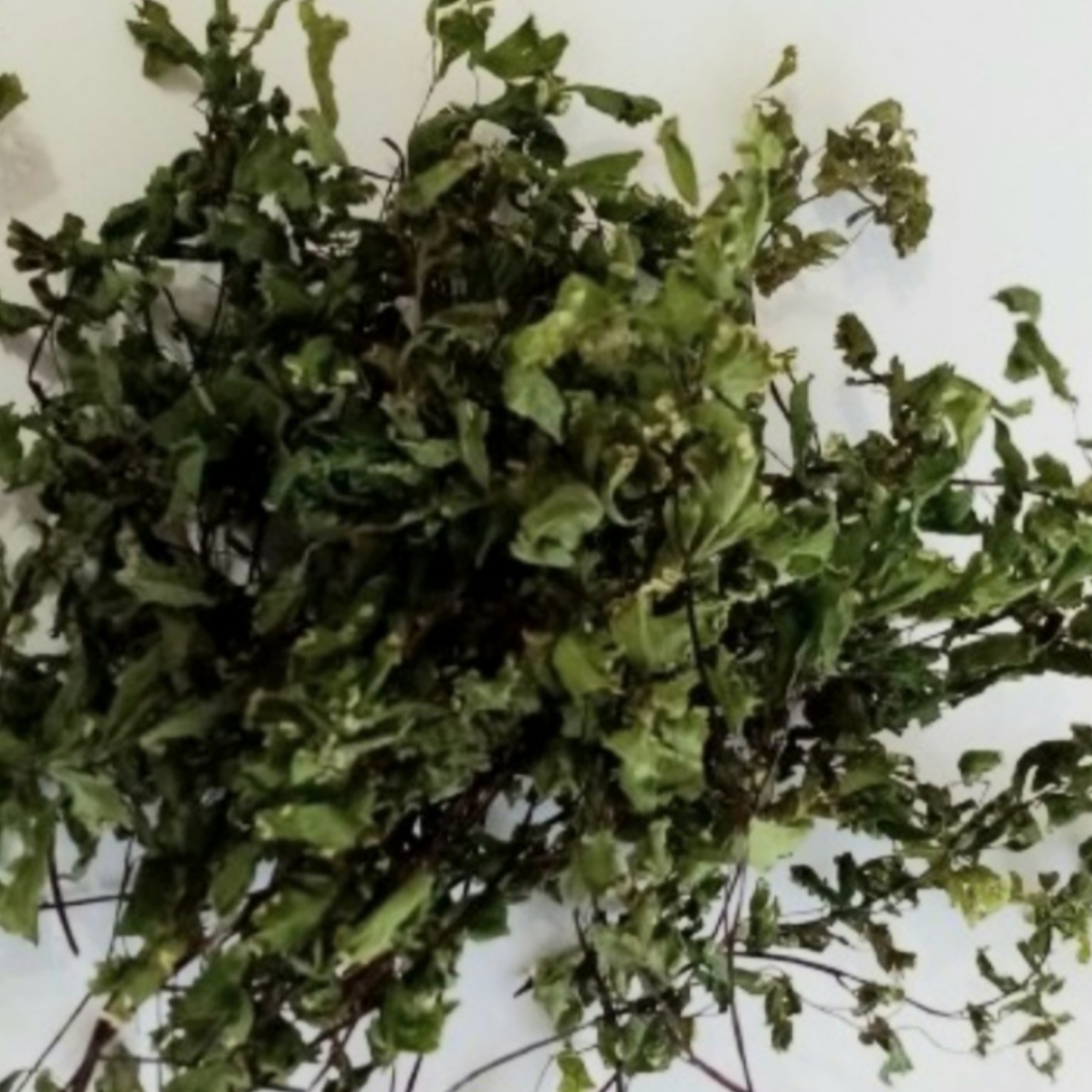 گیاه دار ویی پرسیاوشان بسته بندی 30 گرمی