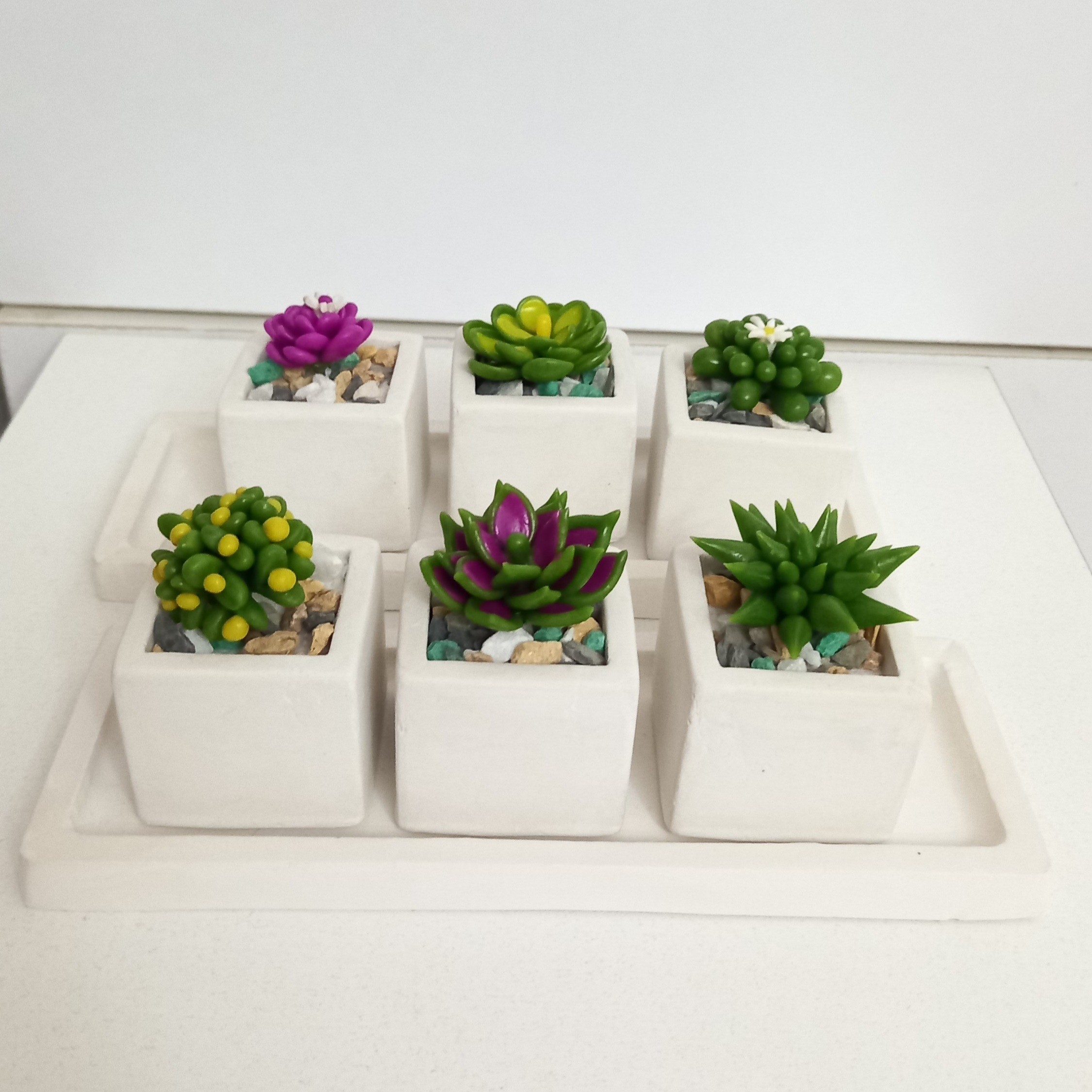 پک 3تایی کاکتوس خمیر ایتالیایی با سینی 