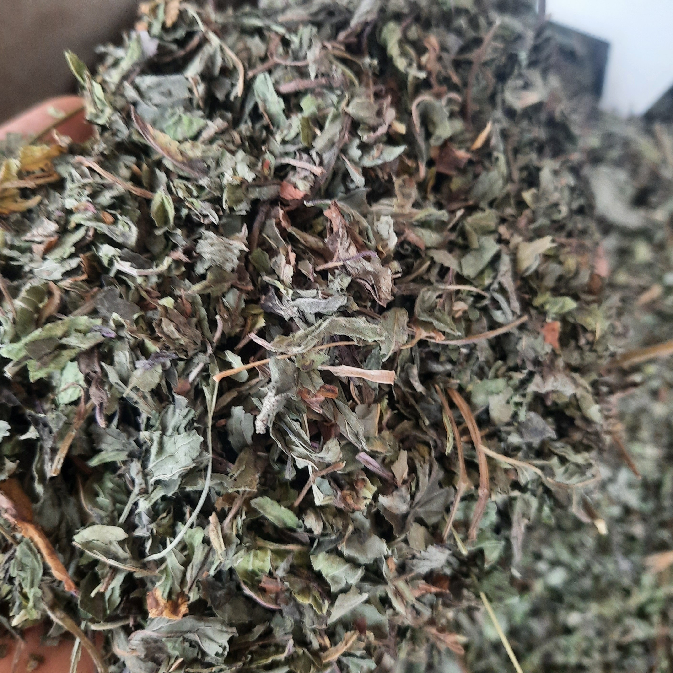 برگ نعنا فلفلی 