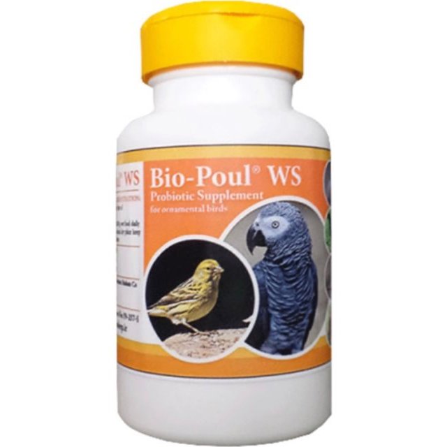 پروبیوتیک مخصوص پرندگان زینتی بیوپول bio-poul (قوطی 80گرمی)

