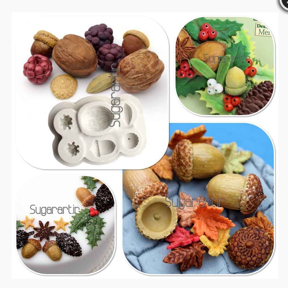 مولد بلوط مولد گردو مولد تمشک ارتفاع کل مولد حدود 9 سانت