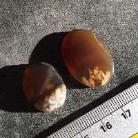 ست عقیق شکوفه فردوس با زمینه خرمایی 