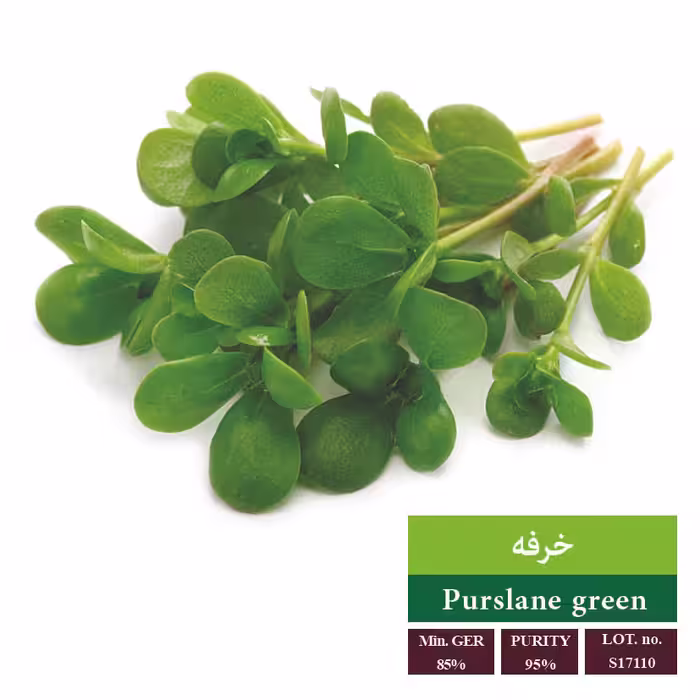 بذر خرفه - بذر طلایی رویان