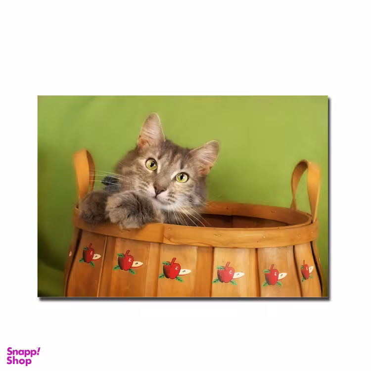 تابلو آهنربایی طرح گربه بشکه‌ ای کد SAB.1