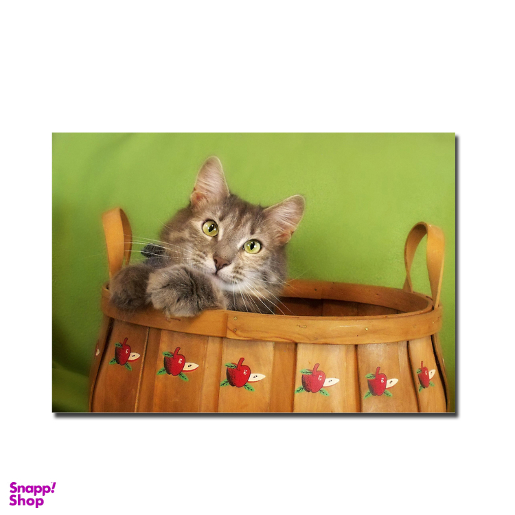 تابلو آهنربایی طرح گربه بشکه‌ ای کد SAB.1