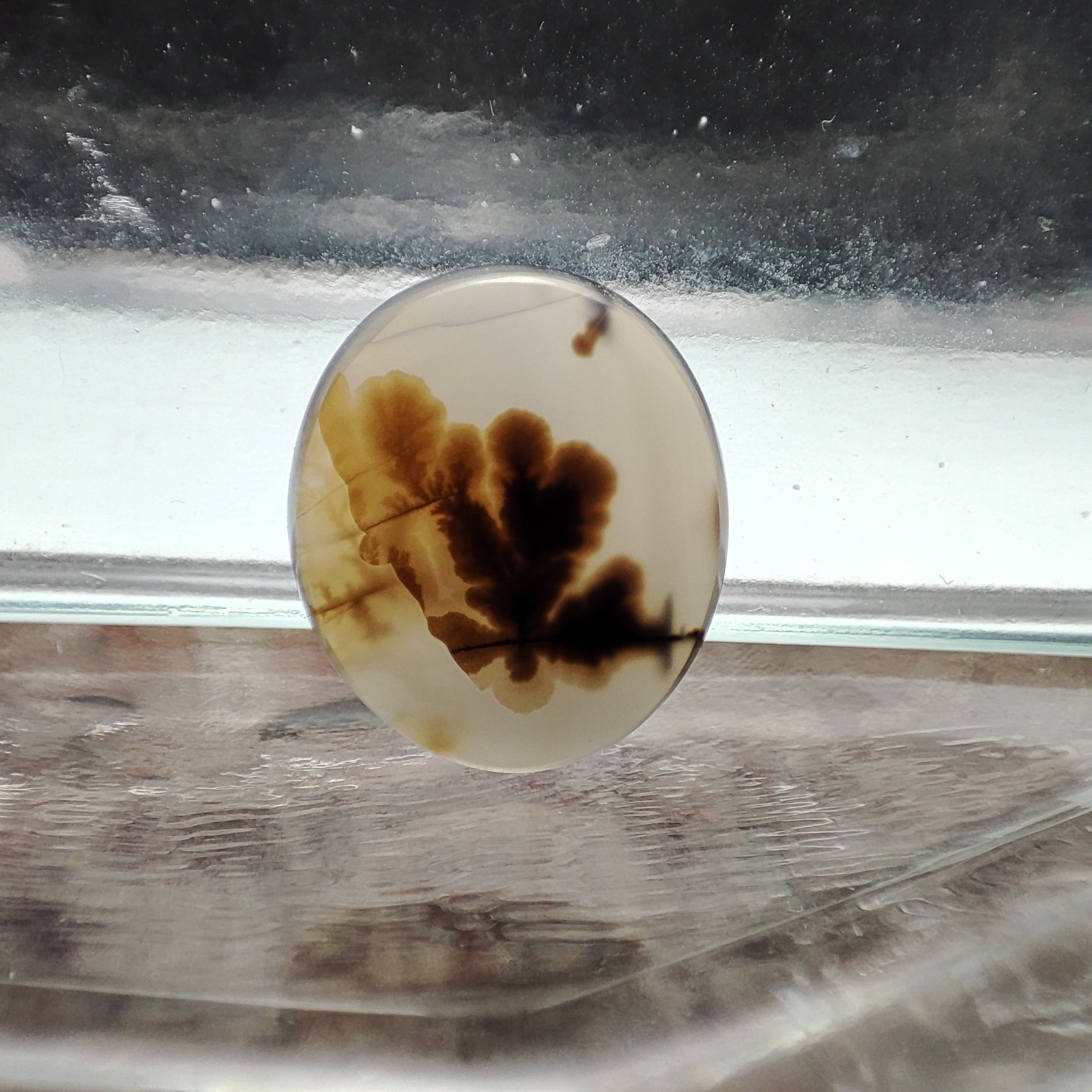 شجر قائن طبیعی و معدنی کد 539