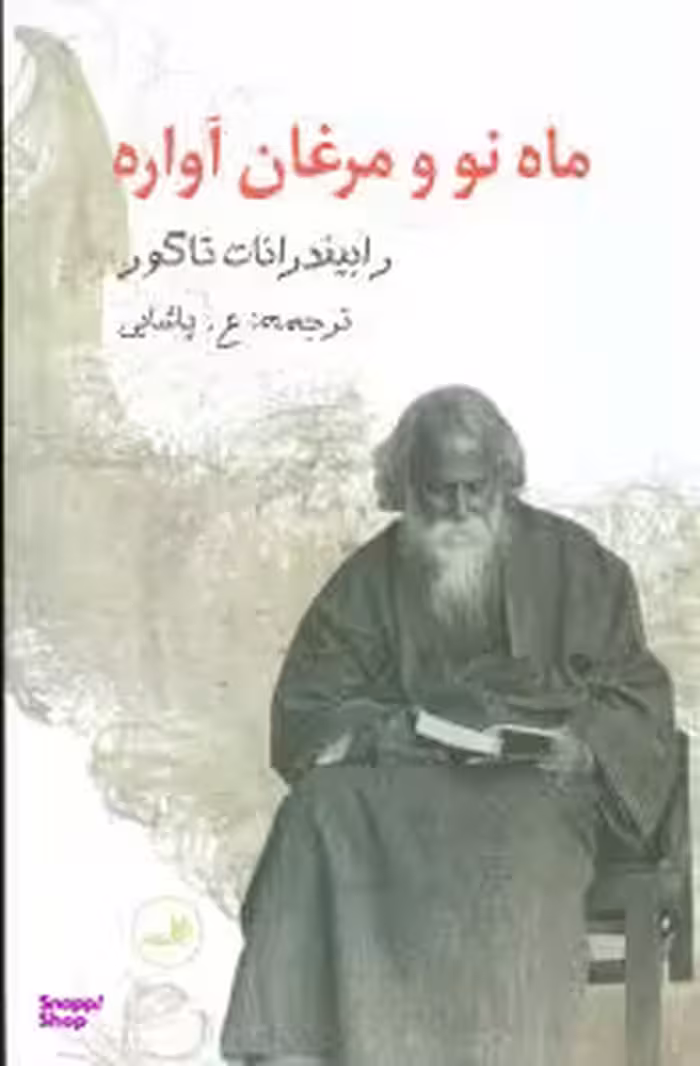 کتاب ماه نو و مرغان آواره اثر رابیندرانات تاگور نشر ثالث