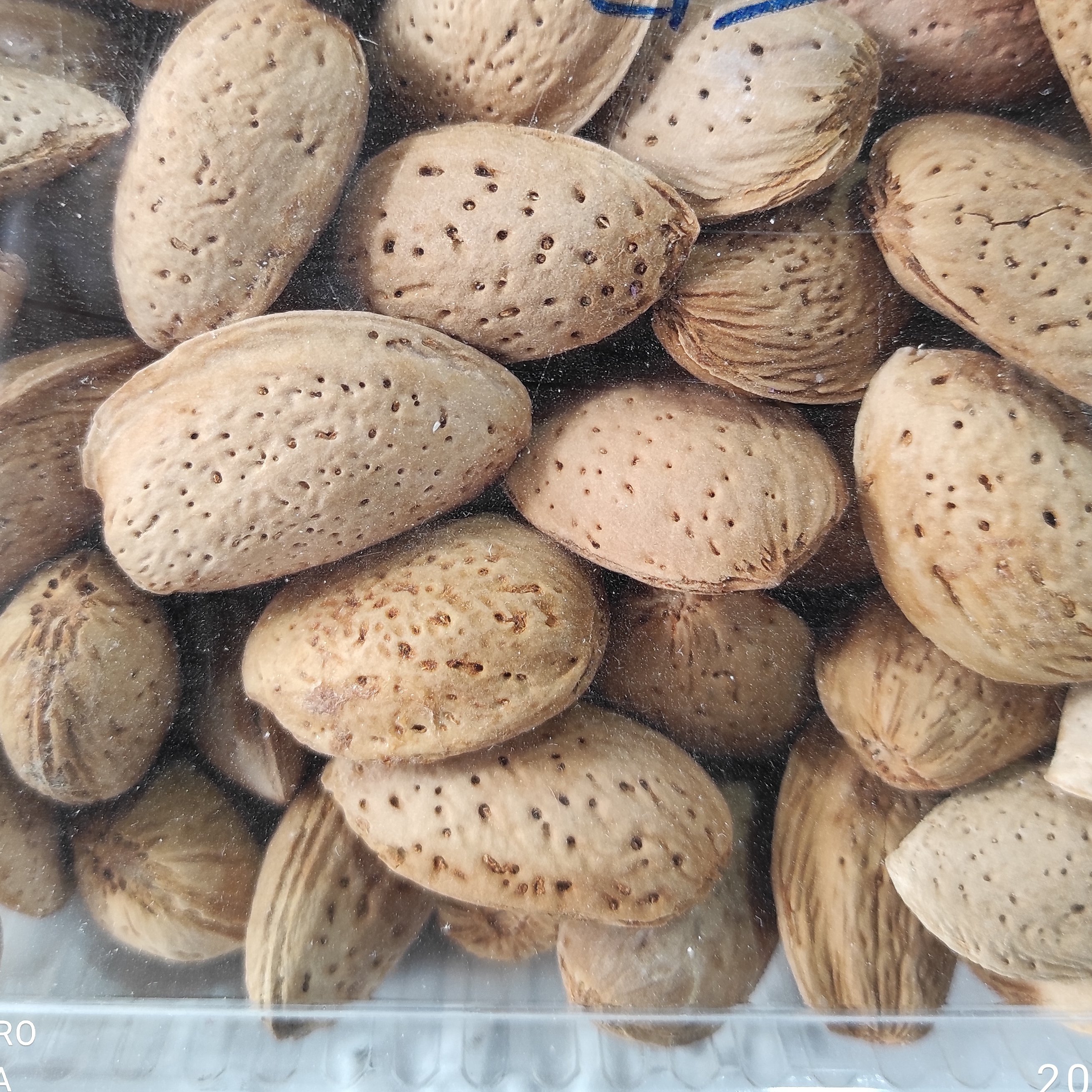 بادام درختی زعفرانی پوست نازک