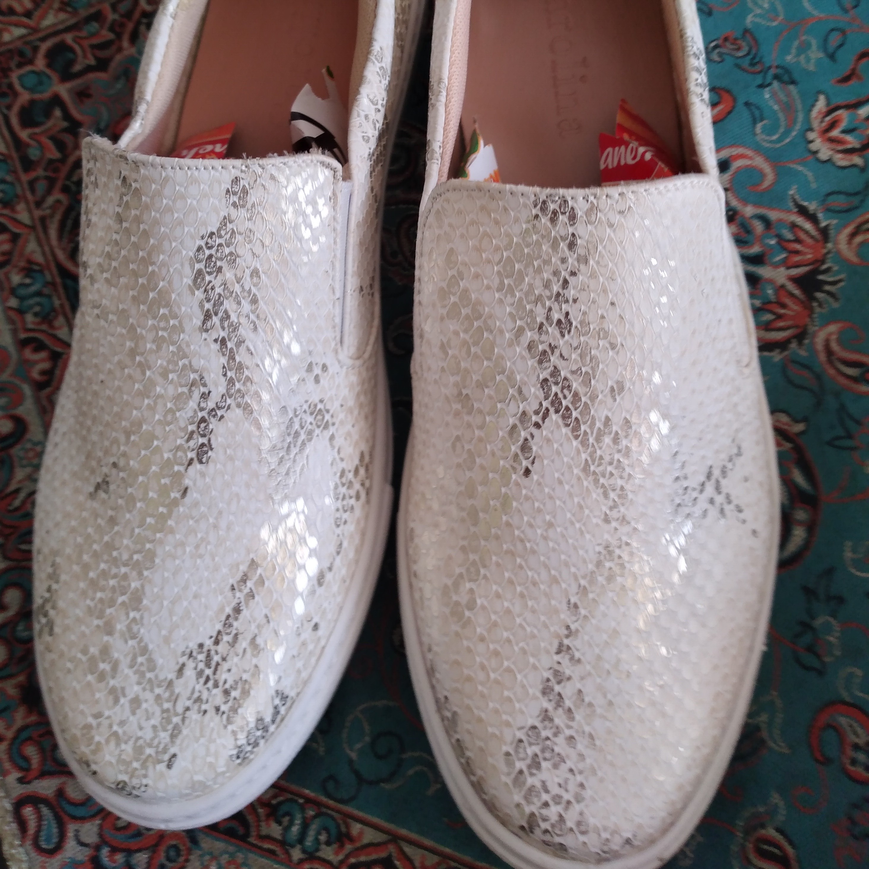 کفش پوست ماری