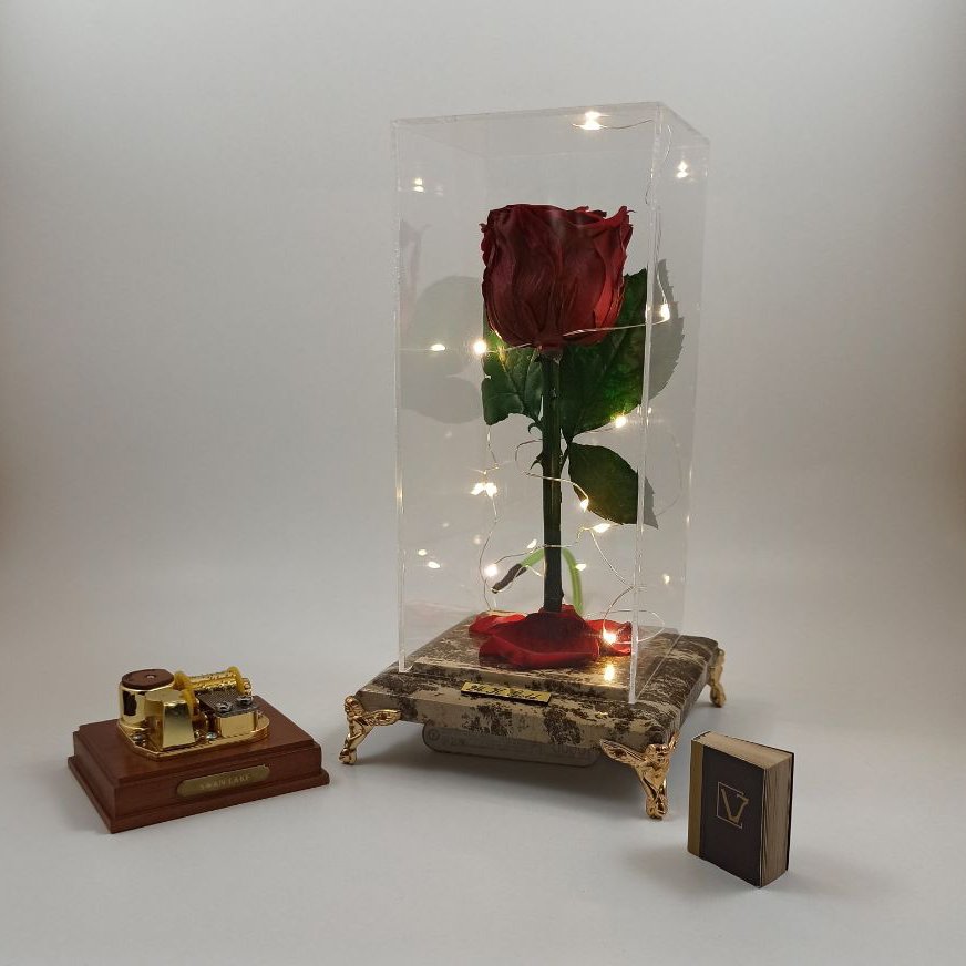  رز جاودان قرمز با پایه سنگ مرمر مستطیلی و ریسه آفتابی 