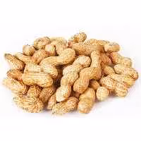 بادام زمینی غلاف دار  درجه 1  آستانه اشرفیه