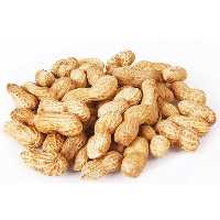 بادام زمینی غلاف دار  درجه 1  آستانه اشرفیه