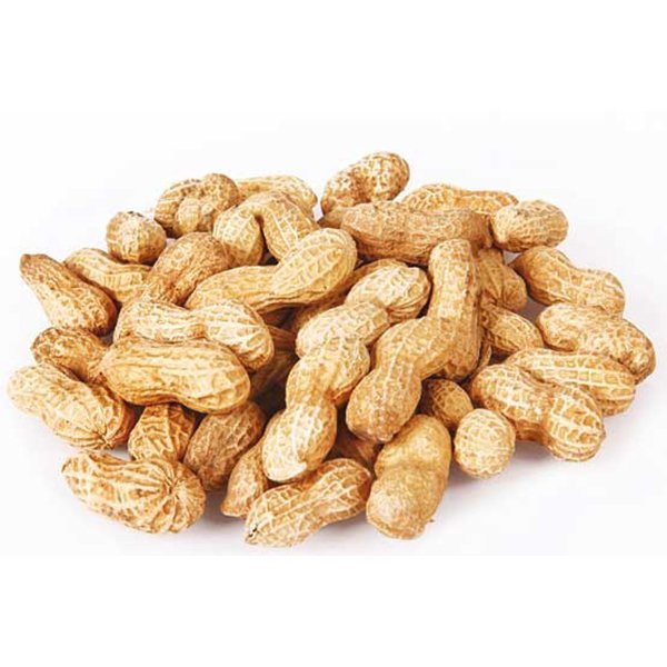 بادام زمینی غلاف دار  درجه 1  آستانه اشرفیه