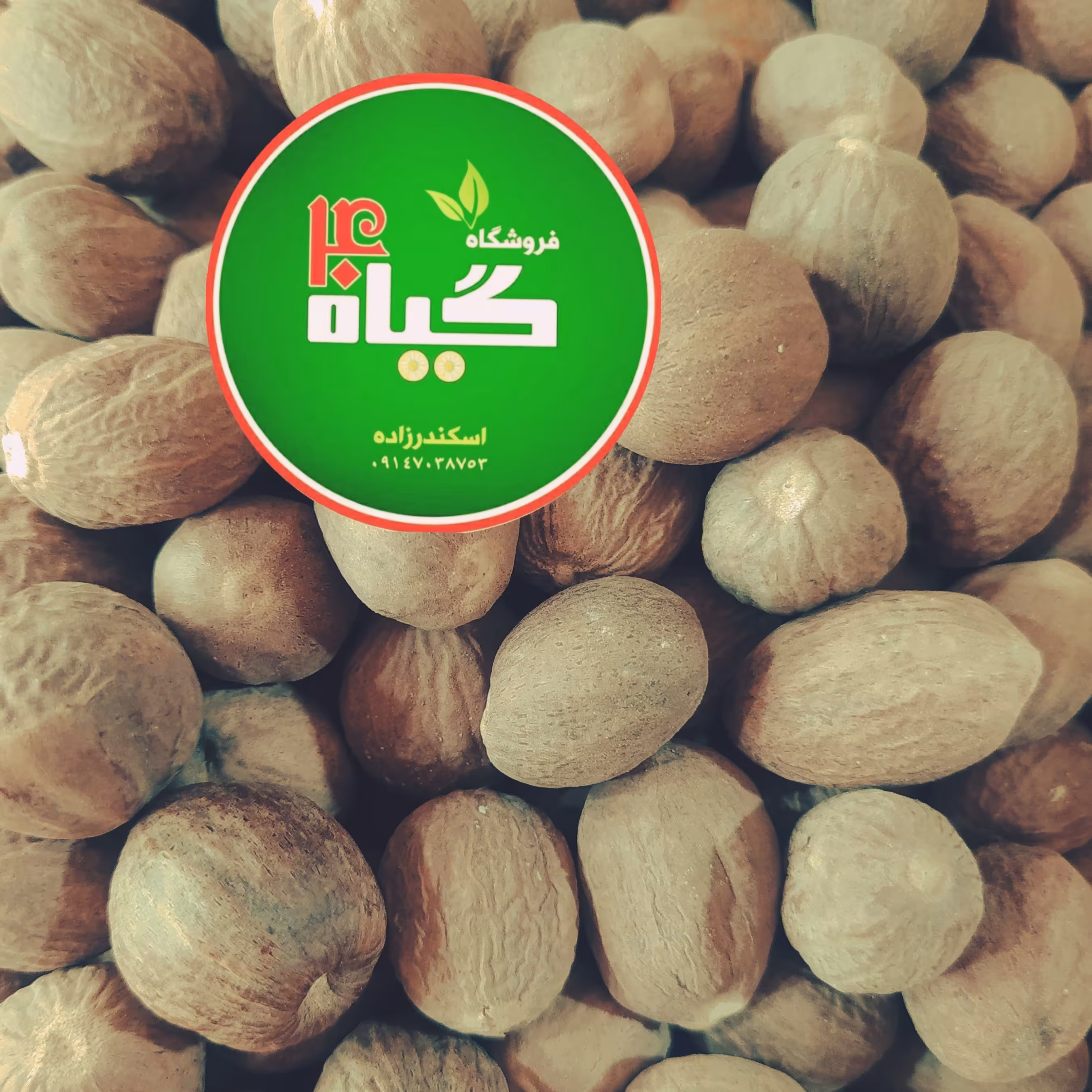 جوز هندی (100گرمی ) عطاری چهل گیاه 