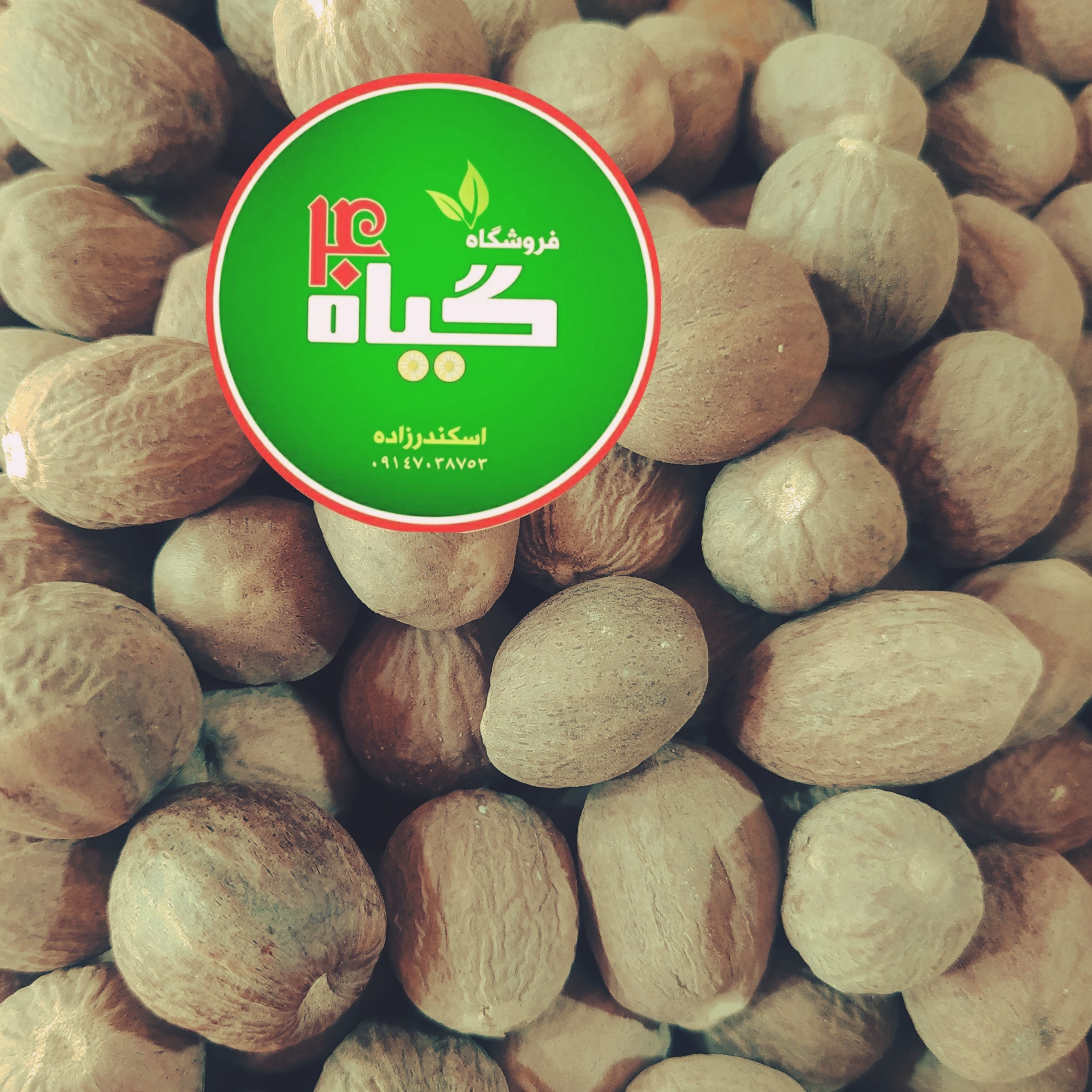جوز هندی (100گرمی ) عطاری چهل گیاه