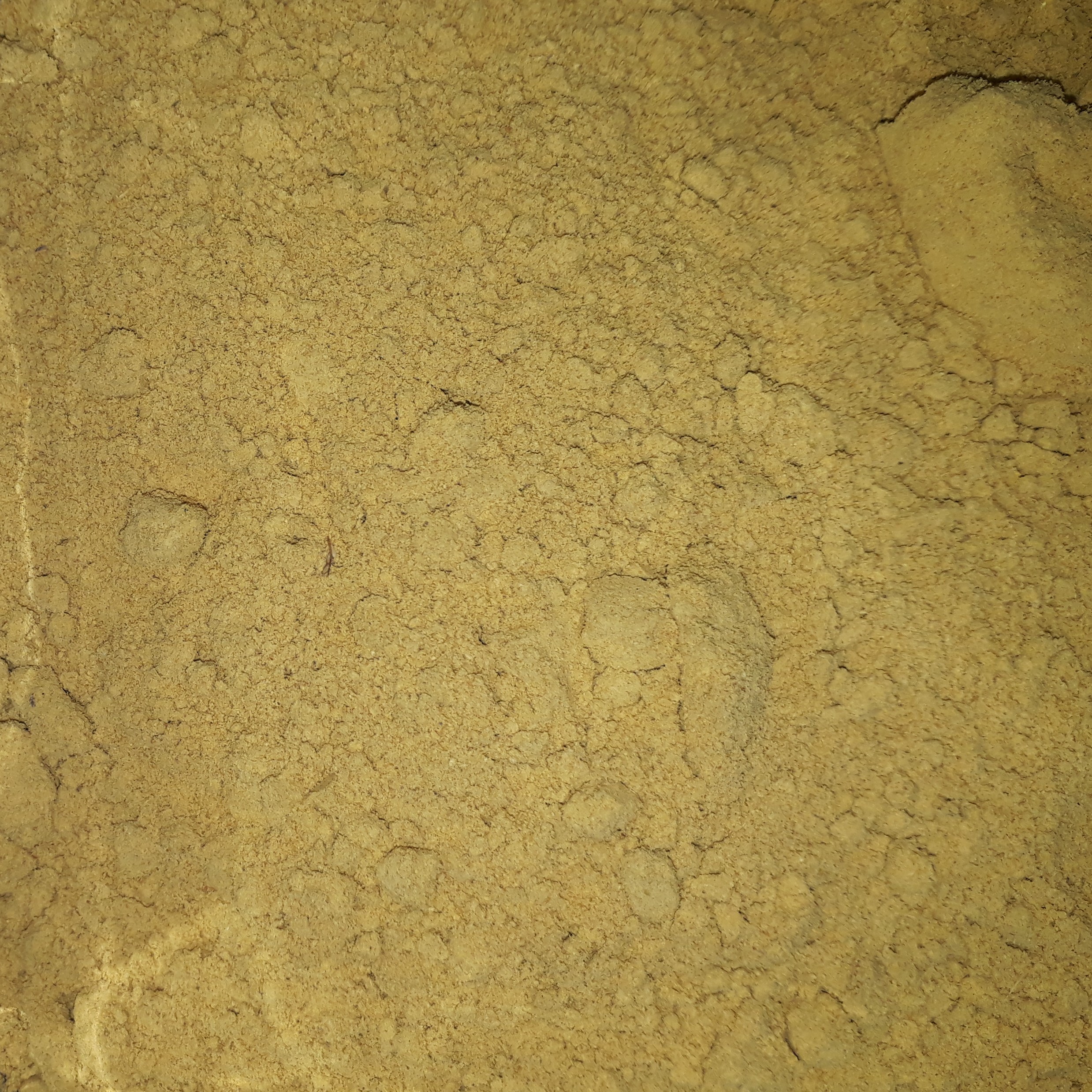 زنجبیل هندی