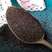 تخم شربتی درشت اعلاء 100گرمی