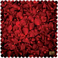 رومیزی مخمل طرح گلبرگ سایز 50 در 50 مدل T11-803 شرکت رنس