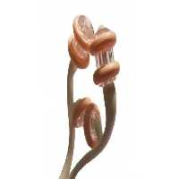 ماساژور  غلطکی دست و پا مینیسو مدل MINISO5  - رنگ صورتی